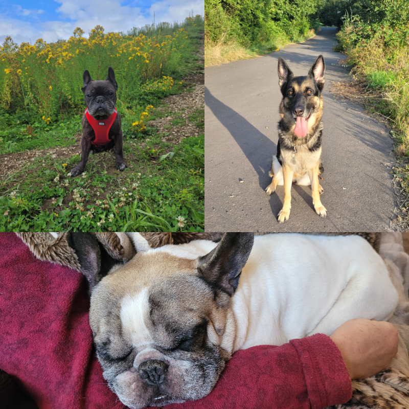 design ohne titel (4)