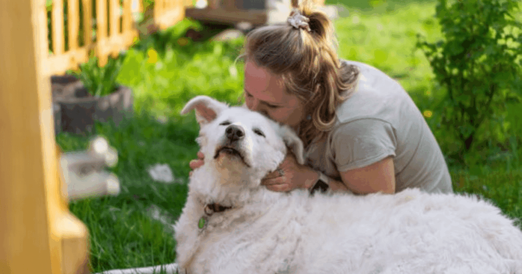 Frau umarmt alten Hund und begleitet im Sterbeprozess