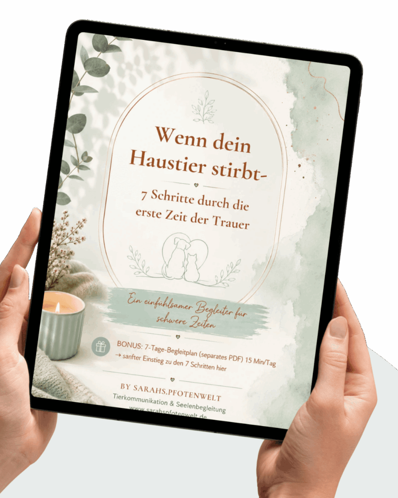 Haustier gestorben