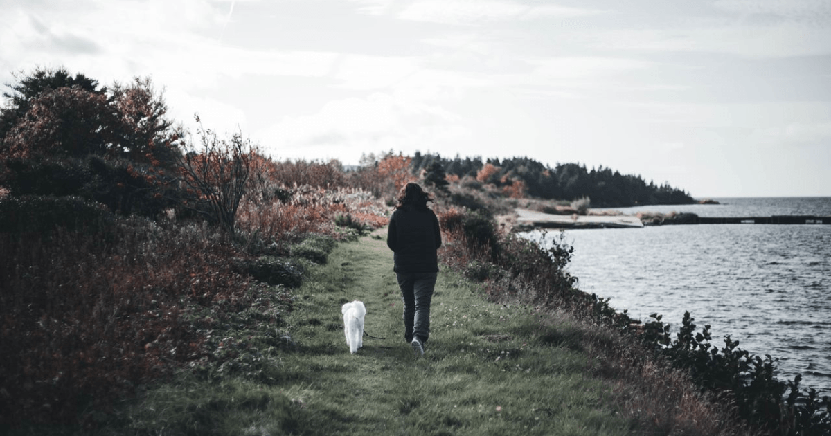 Frau geht mit Hund am Wasser entlang spazieren