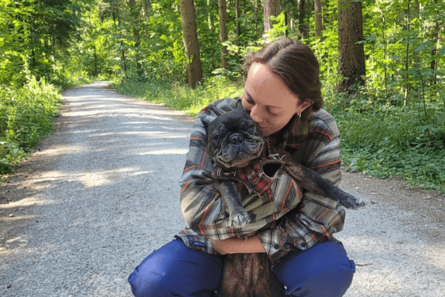 Tiertrauer Seelenhund gestorben